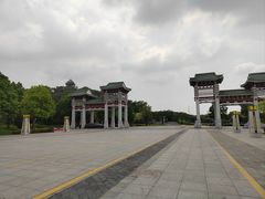 -王借岗森林公园