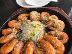 -云中小雅