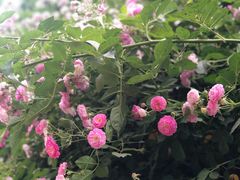 -回龙观体育文化公园
