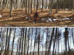 -硗碛藏寨·神木垒景区