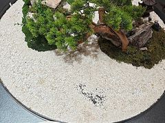 -曼格纳·曼芯馆(杨浦店)