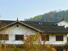 -紫藤园·天目湖大鱼头(南山竹海店)