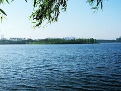 -丁香湖公园