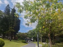 -四海公园(南山区)