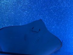 -珠海长隆海洋王国
