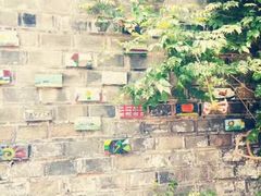 -志龙皇冠吃货椰子铺