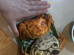 -新农都水产市场