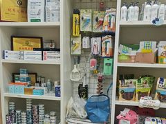 -米苏动物医院·犬猫专科·骨科外科内窥镜