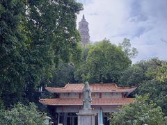 -顺峰山公园