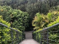 -罗汉堂·荷谷(礼智路店)