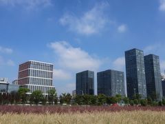 -映月湖中央公园
