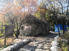 -阳台山自然风景区