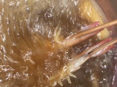 养生菌汤-享月汤皇·海鲜小火锅·聚会(曲江创意谷店)