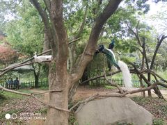 -宁波野生动物园
