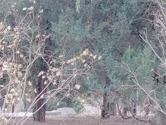 -元大都城垣遗址公园