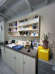 -Will+ Hair Studio