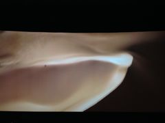 -AMG海上明珠影城(上海环球港RealDCinema店)