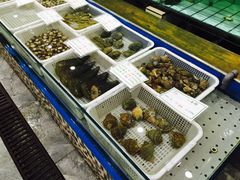 -海岛渔村大酒店(云霄路店)