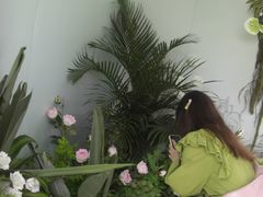 -湖南广电中心大楼