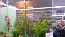 android_upload_pic-小左美发