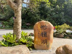 -深圳仙湖植物园