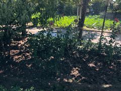 -静之湖湖畔餐厅