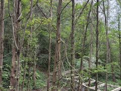 -都江堰中华大熊猫苑
