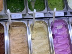 -鹤茶野所(上海首店)