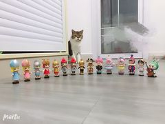 -泡泡玛特POPMART(国金街店)