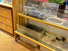 -十八字金银饰·拼豆·开蚌手工体验团建(君太百货店)