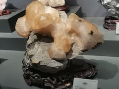 -湖南省地质博物馆