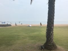 -江山半岛白浪滩景区