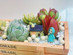 -艺塔木美学教育(和达校区)