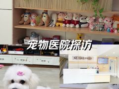 -凯瑞希宠物医院·狂犬免疫·微创·皮肤科