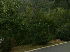 -大连金龙寺国家森林公园-售票处