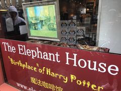 -大象咖啡馆
