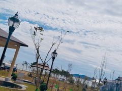 -青岛海泉湾度假区温泉