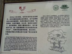 -井冈山风景名胜区