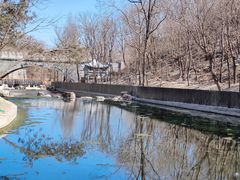 -白水寺森林公园