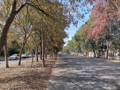 -胜华驾校·小猫学车(银都店)
