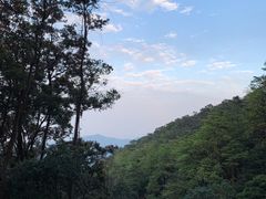 -广州市帽峰山景区