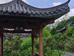 -广州神农草堂中医药博物馆