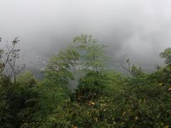 -藏龙百瀑风景区