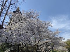 -红梅公园