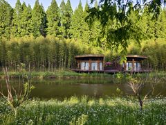 -黄海国家森林公园