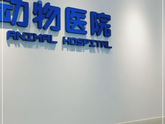 -北京观赏动物医院·24小时大型综合·猫专科·异宠专科