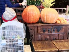 -玉桥餐厅(天坛店)