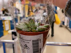 -宜家家居（上海徐汇商场店）-停车场