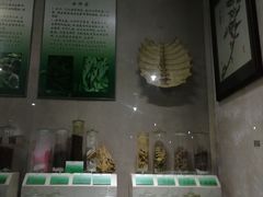 -广东中医药博物馆