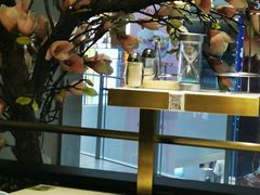 -洪氏嗨捞·猪肚鸡火锅(阳光天地店)